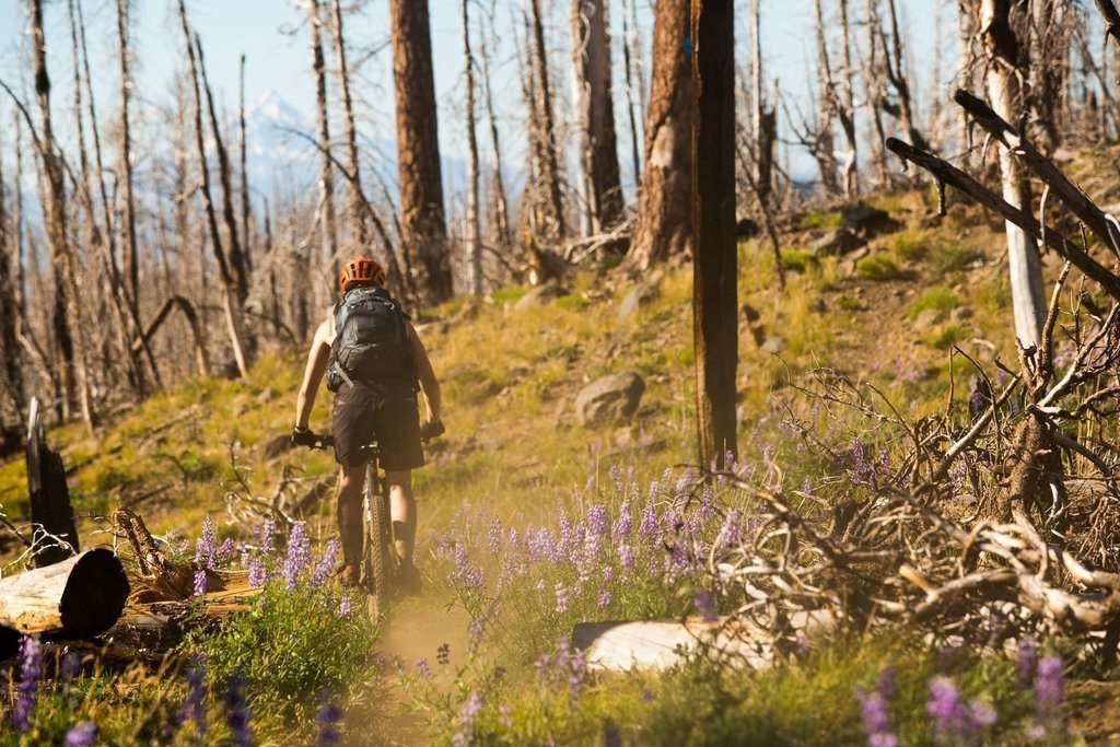 Pedaling Across Oregon | New Pioneers - Club Ride Apparel