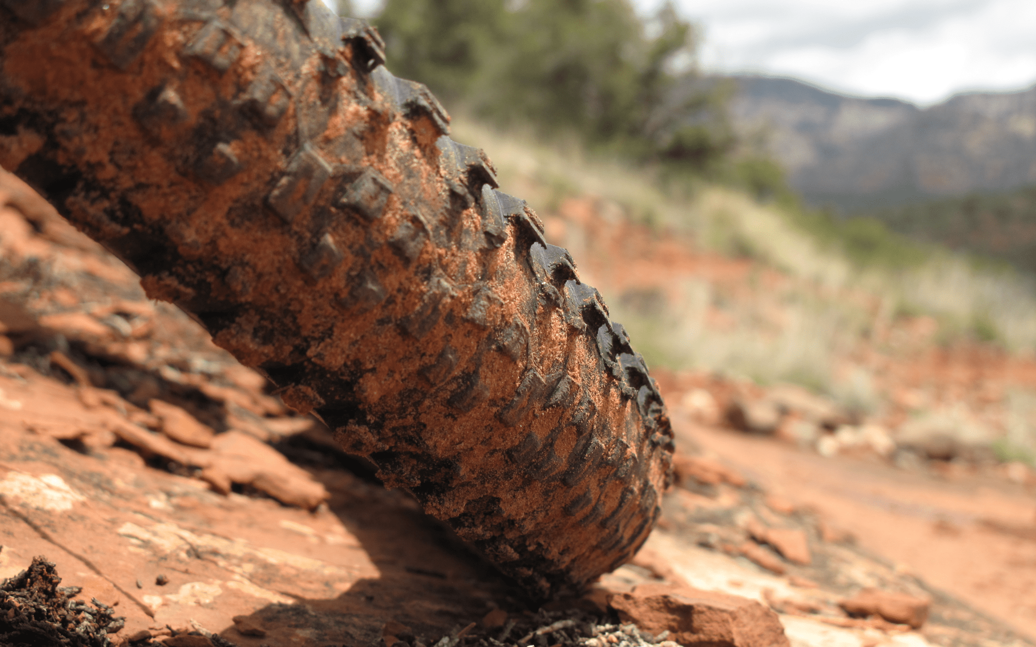 Gumwall Brown - Club Ride Apparel